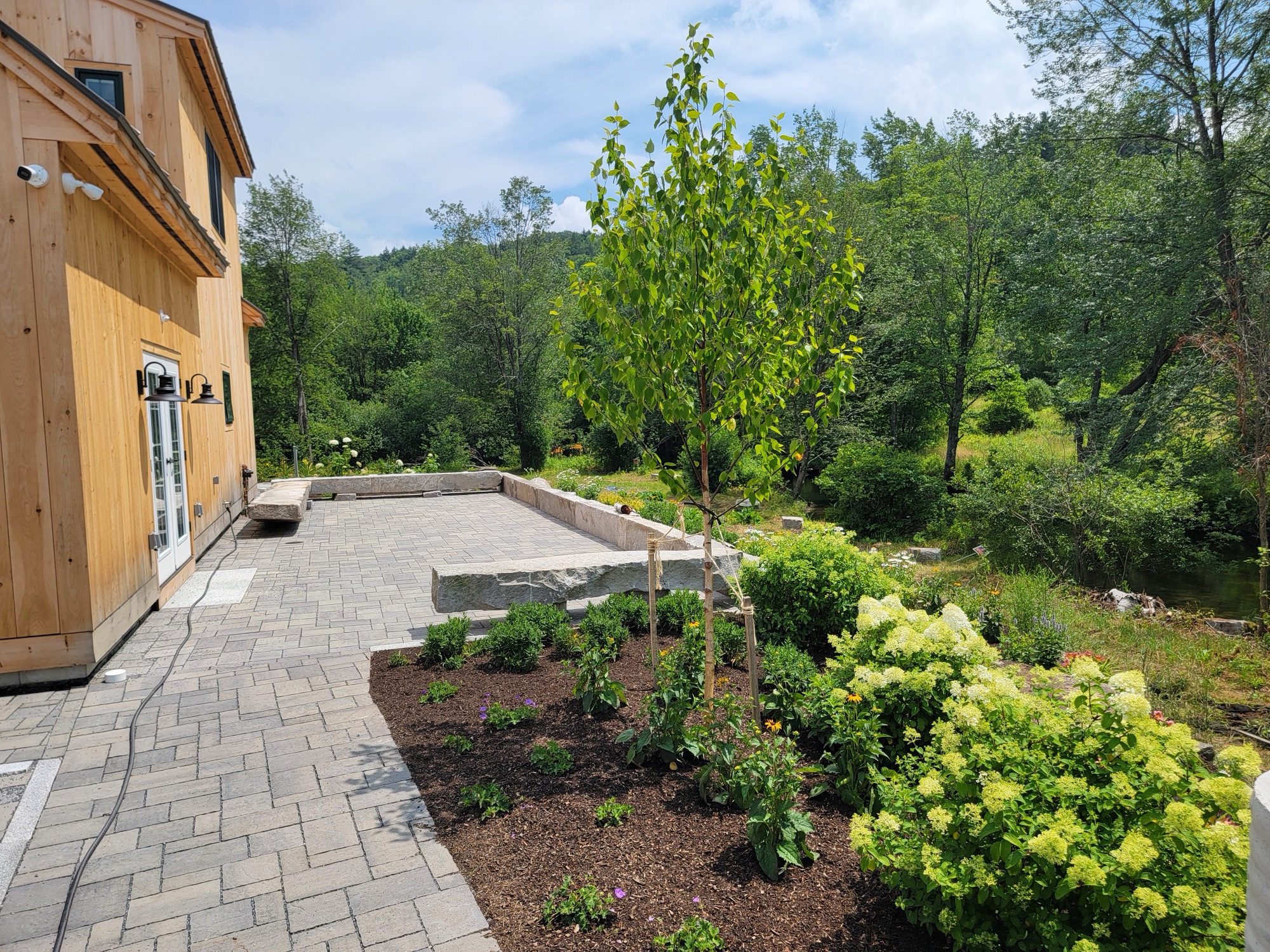 Paver walkway flanked by manicured plantings beside a home