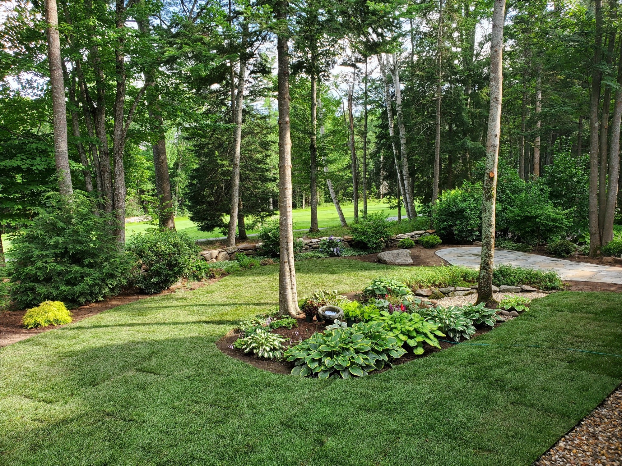 Landscaped property with clean lawn and plantings