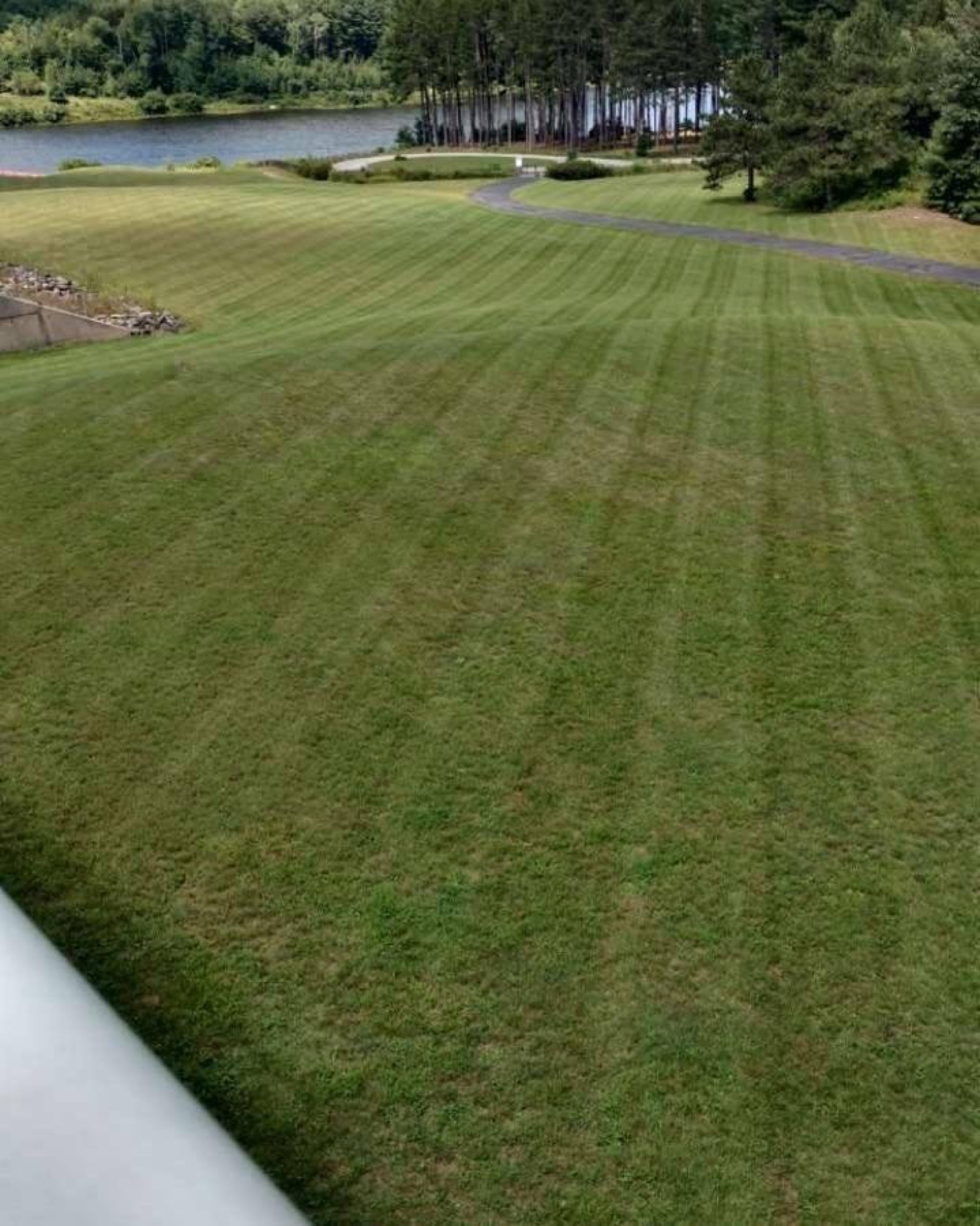 Freshly maintained residential lawn at a New Hampshire property